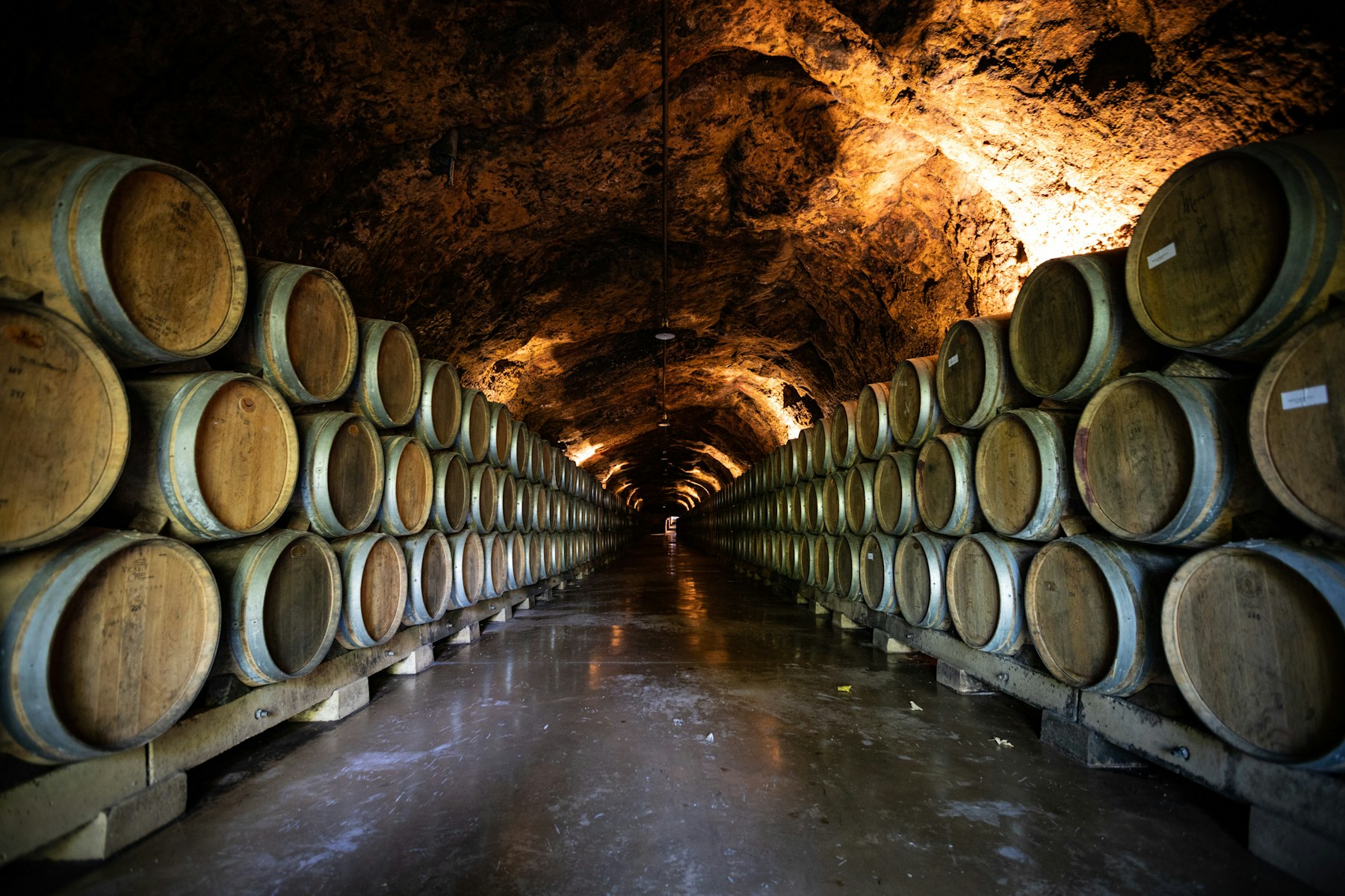 The cask