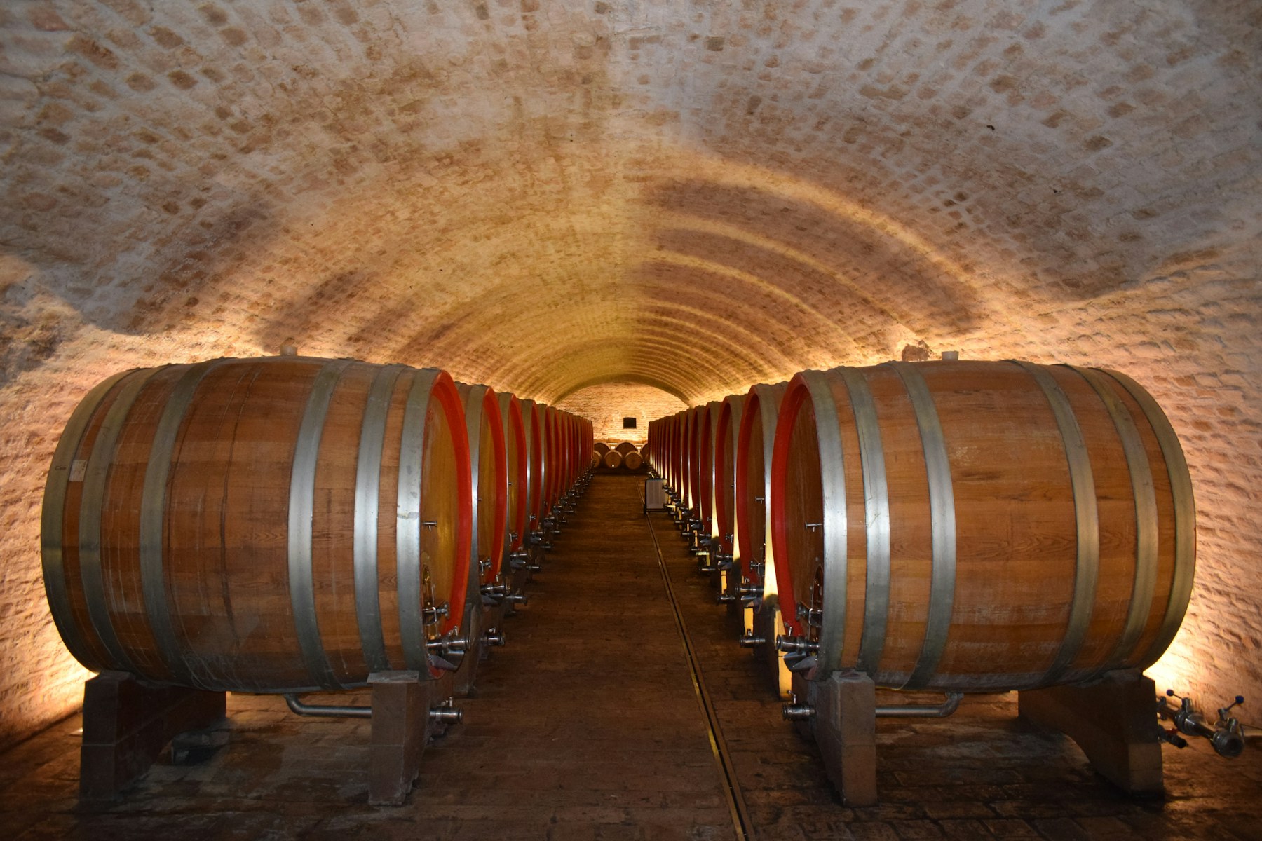 A vaulted cellar of cognac casks