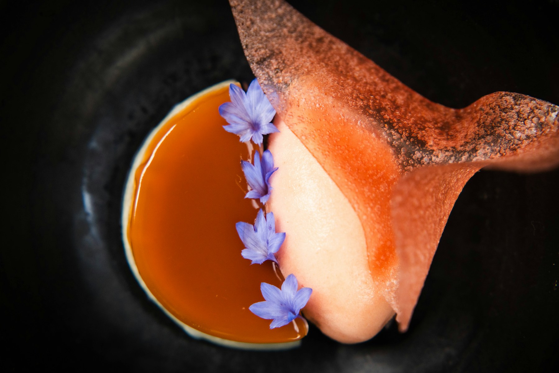 Peach, Verbena