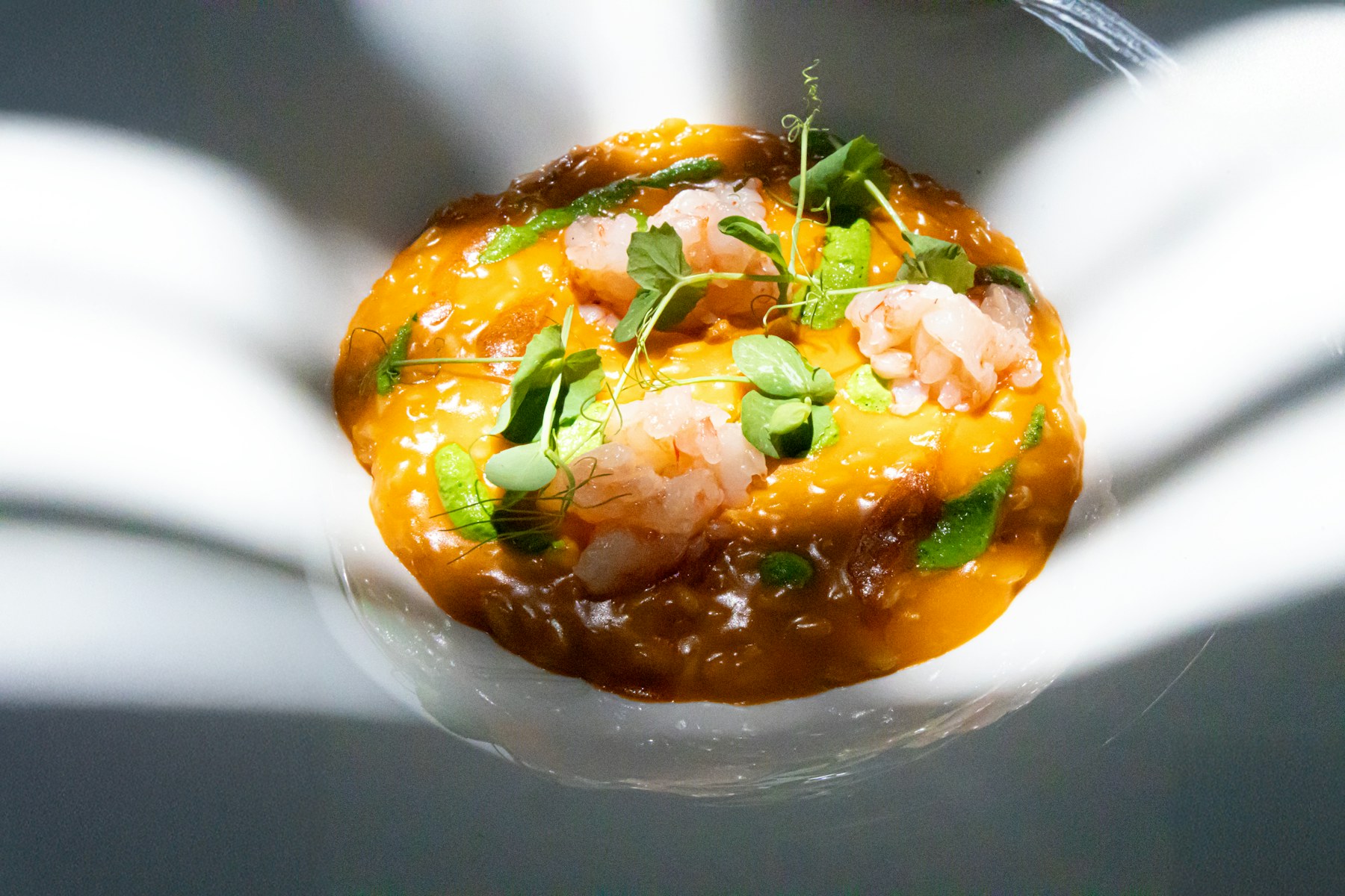 Langoustine, Saffron