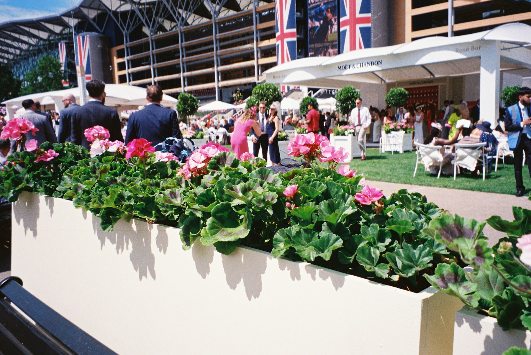 Pavilion terrace with flowers