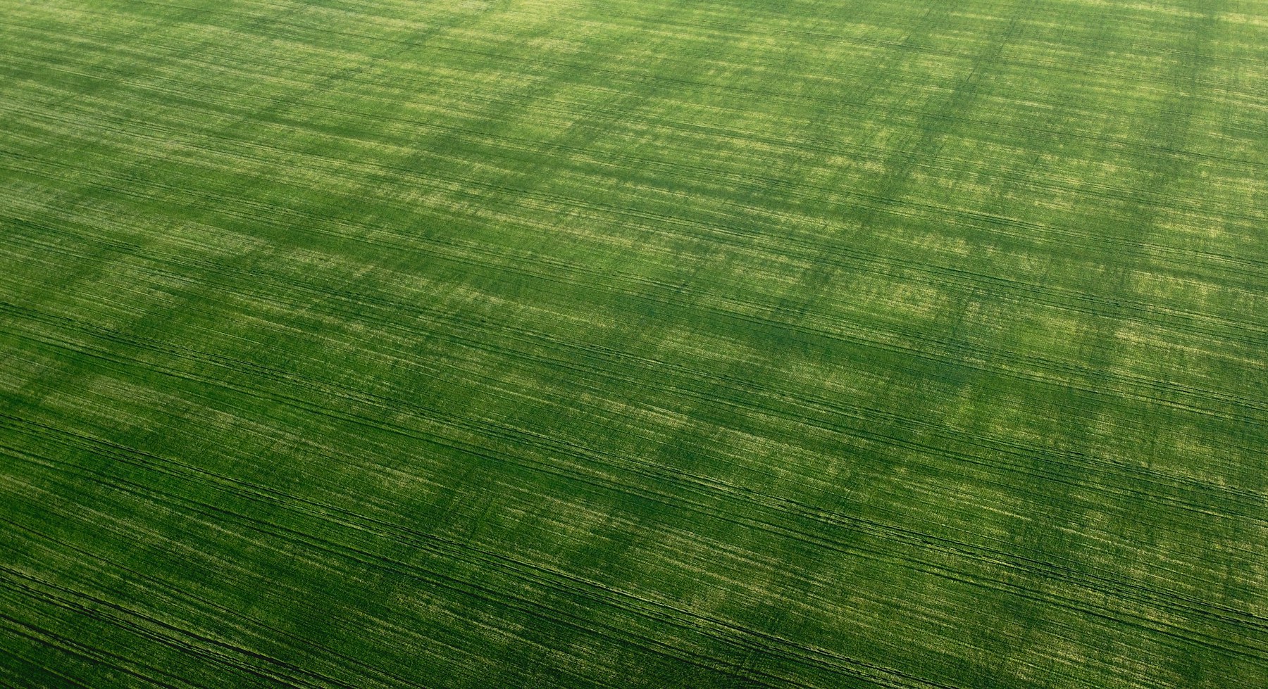Grounds