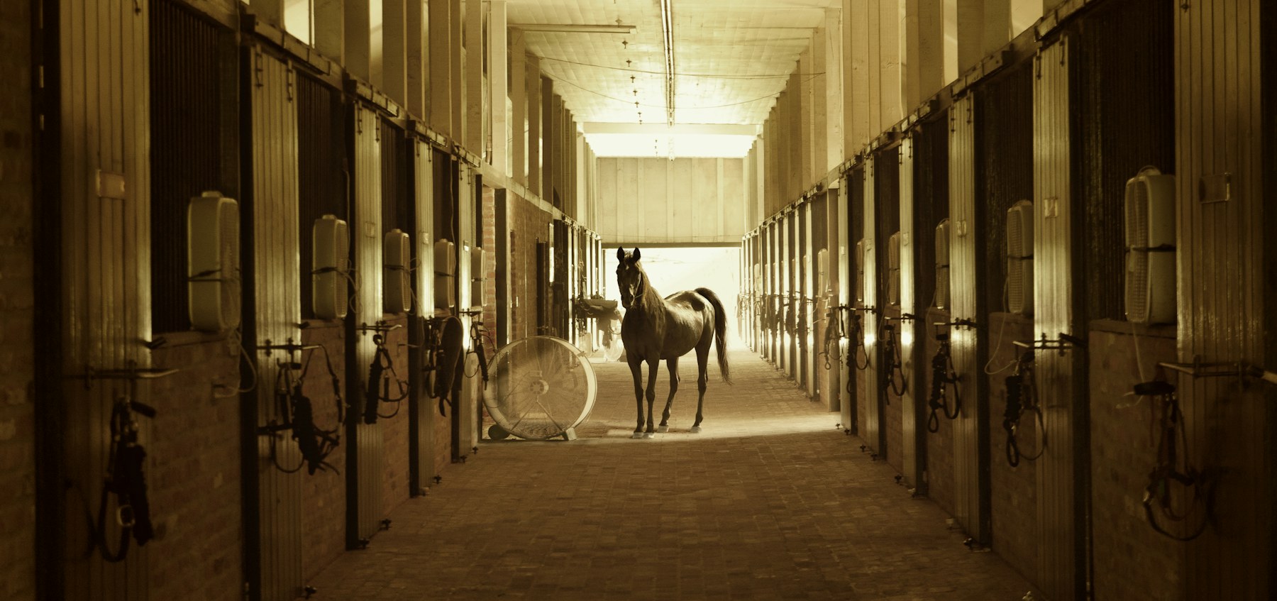 How a polo string is built