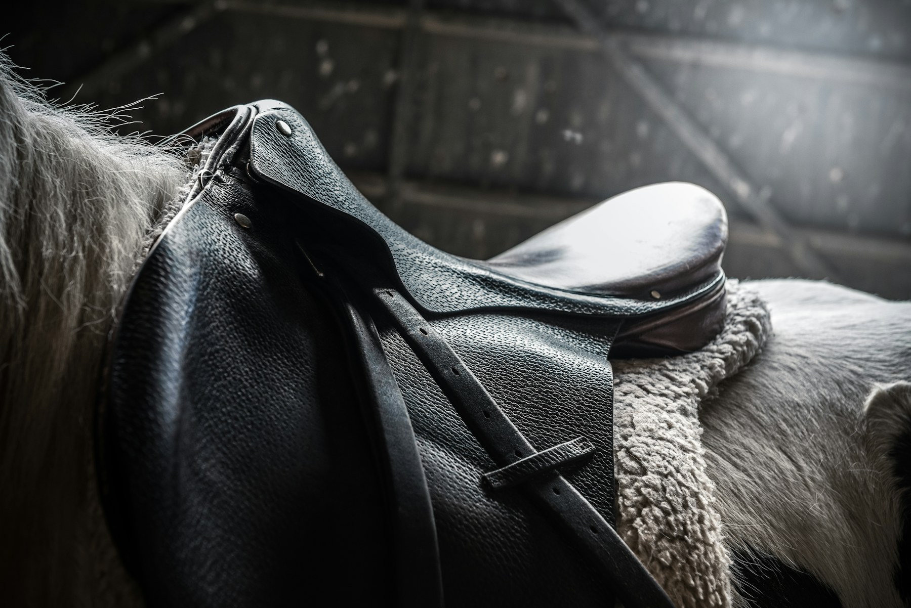 Polo saddle