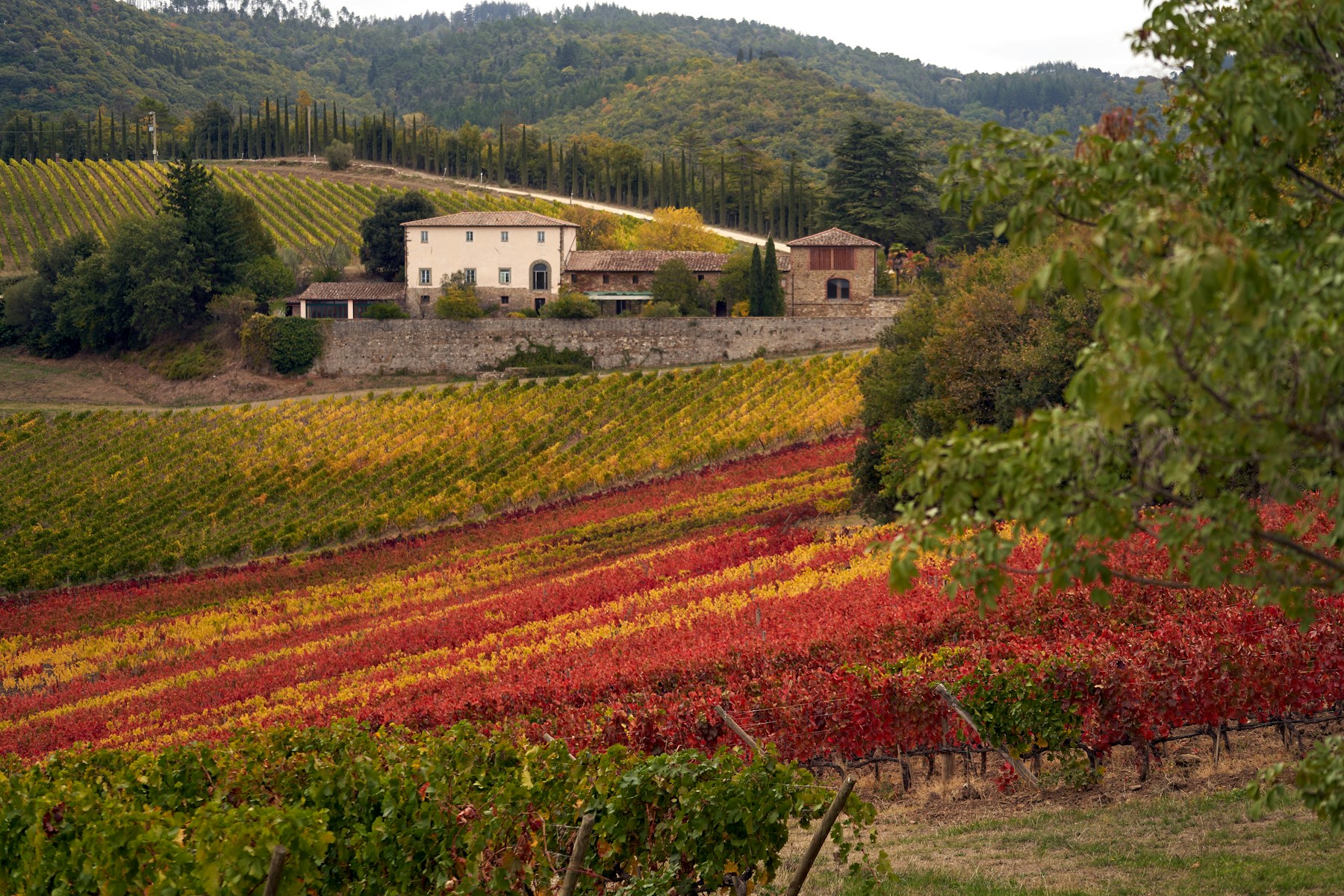 Tuscany