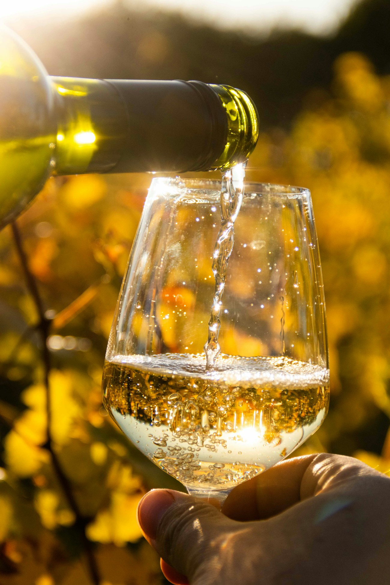 Meursault