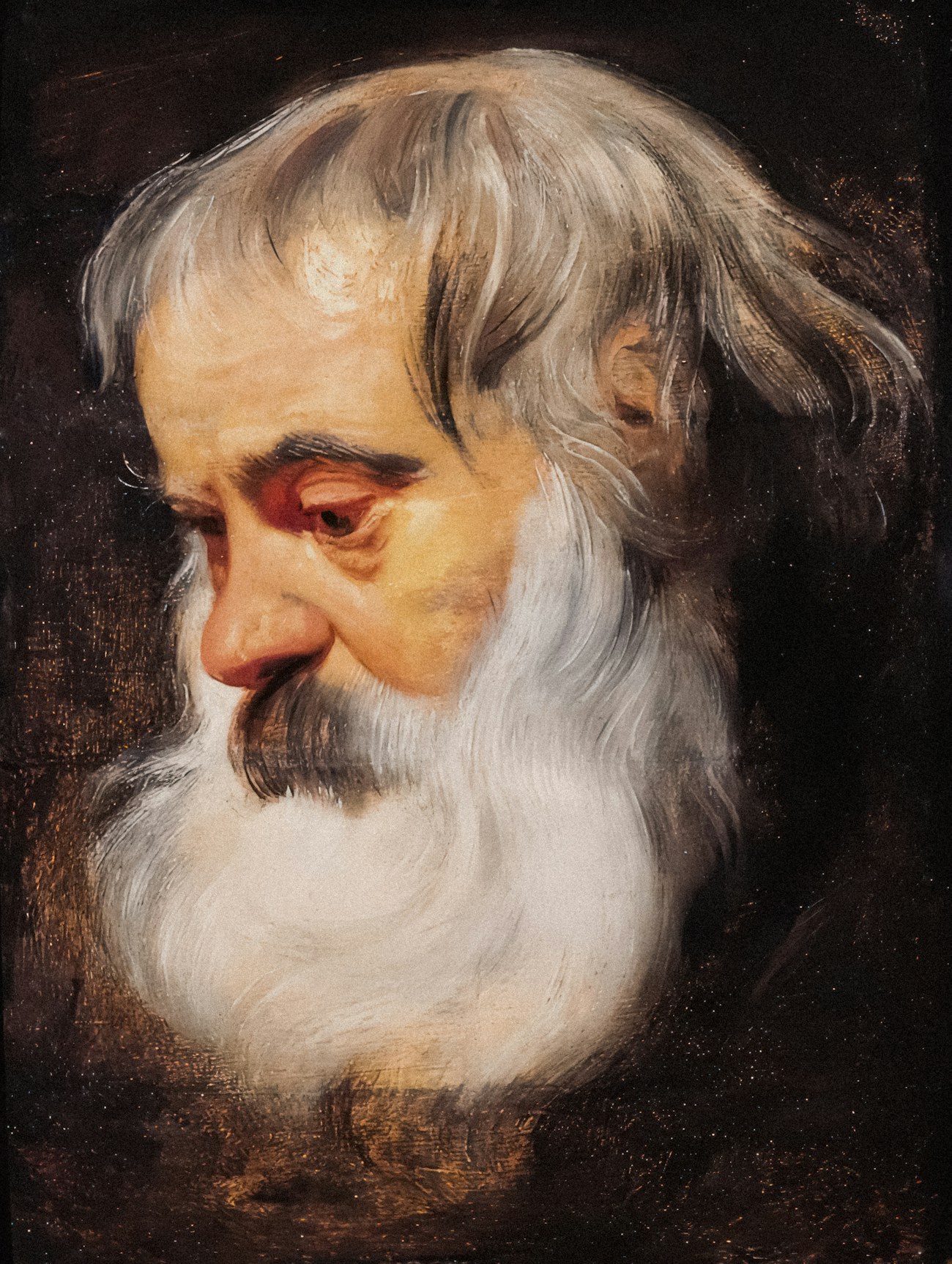 Study of an Old Man with a White Beard