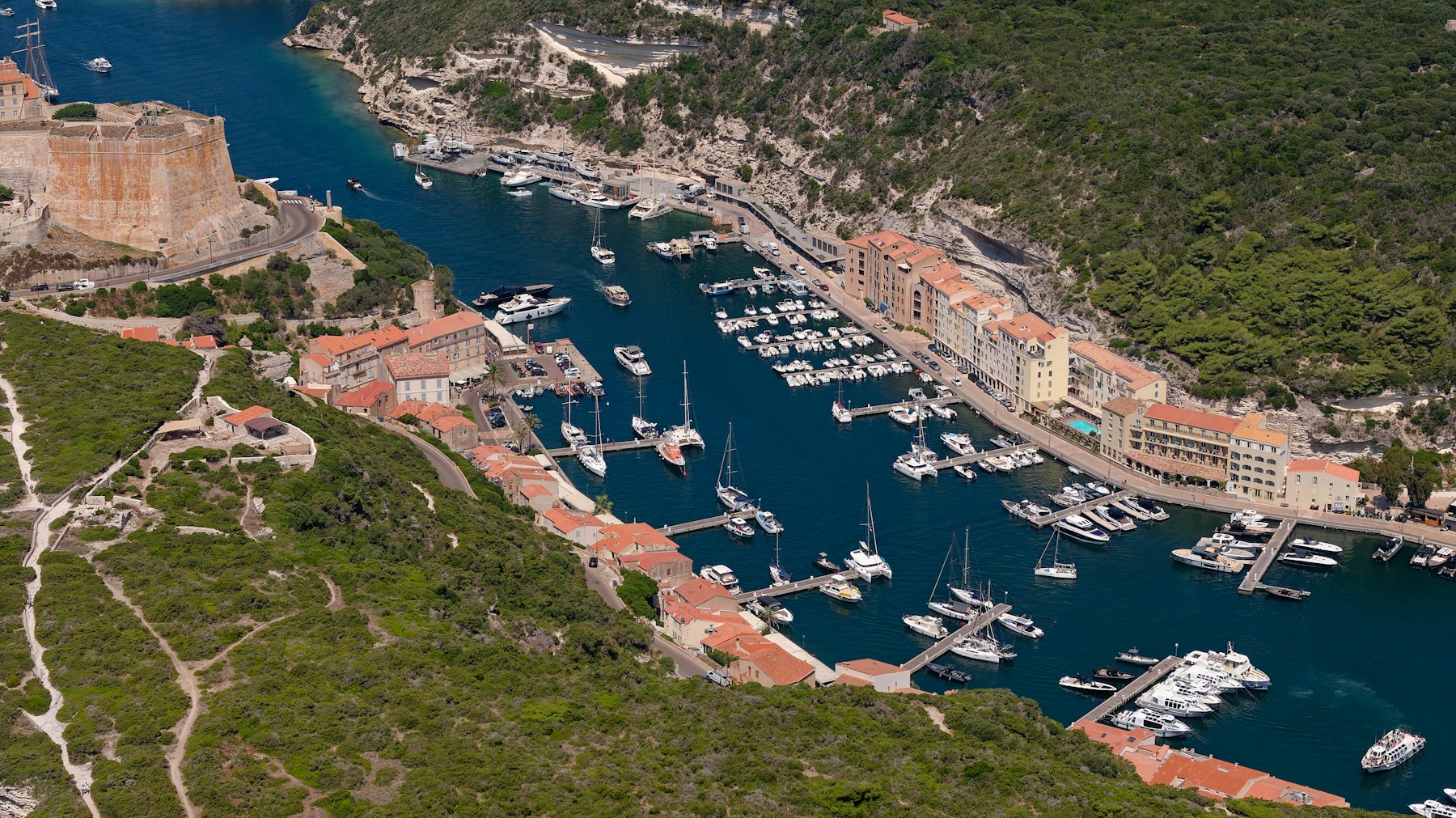 Bonifacio