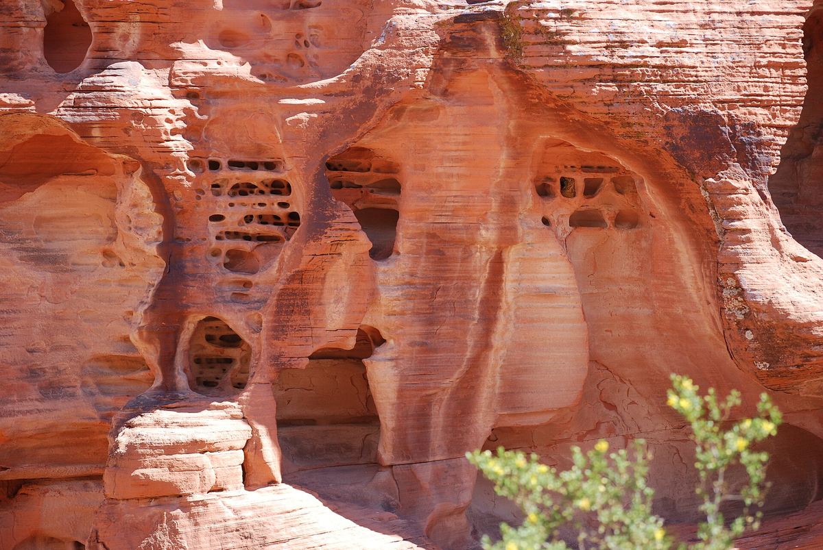 Red sandstone wall riddled with honeycomb holes, Valley of Fire
