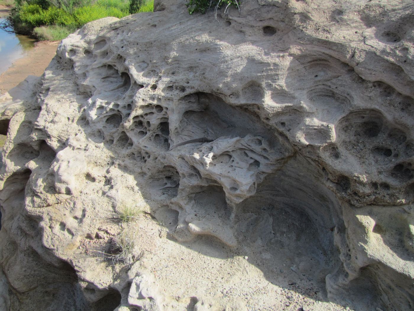 A young tafoni field: shallow pits with thin walls between them.