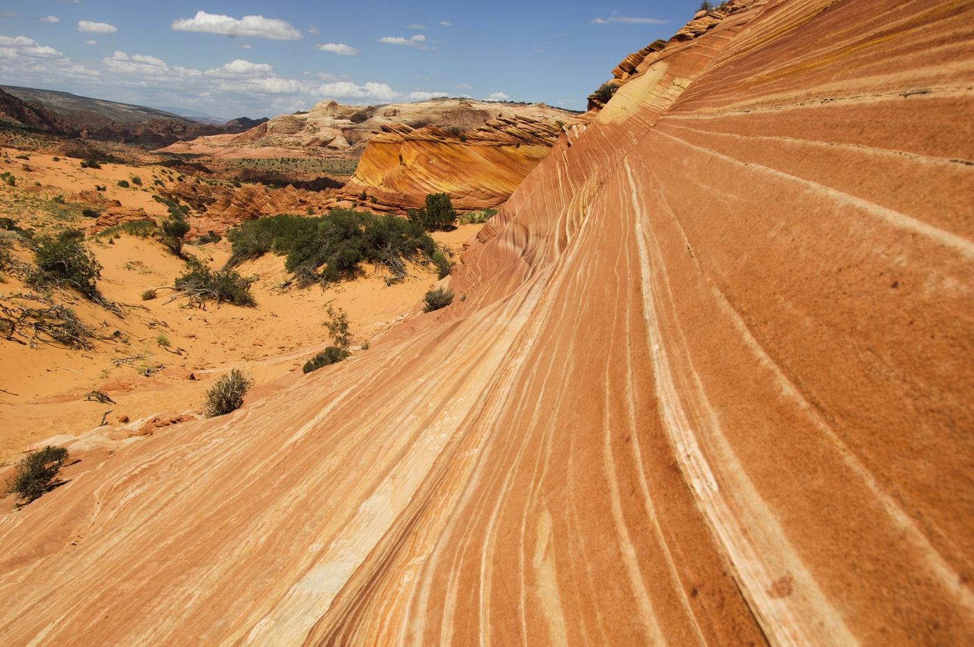 Coyote Buttes North