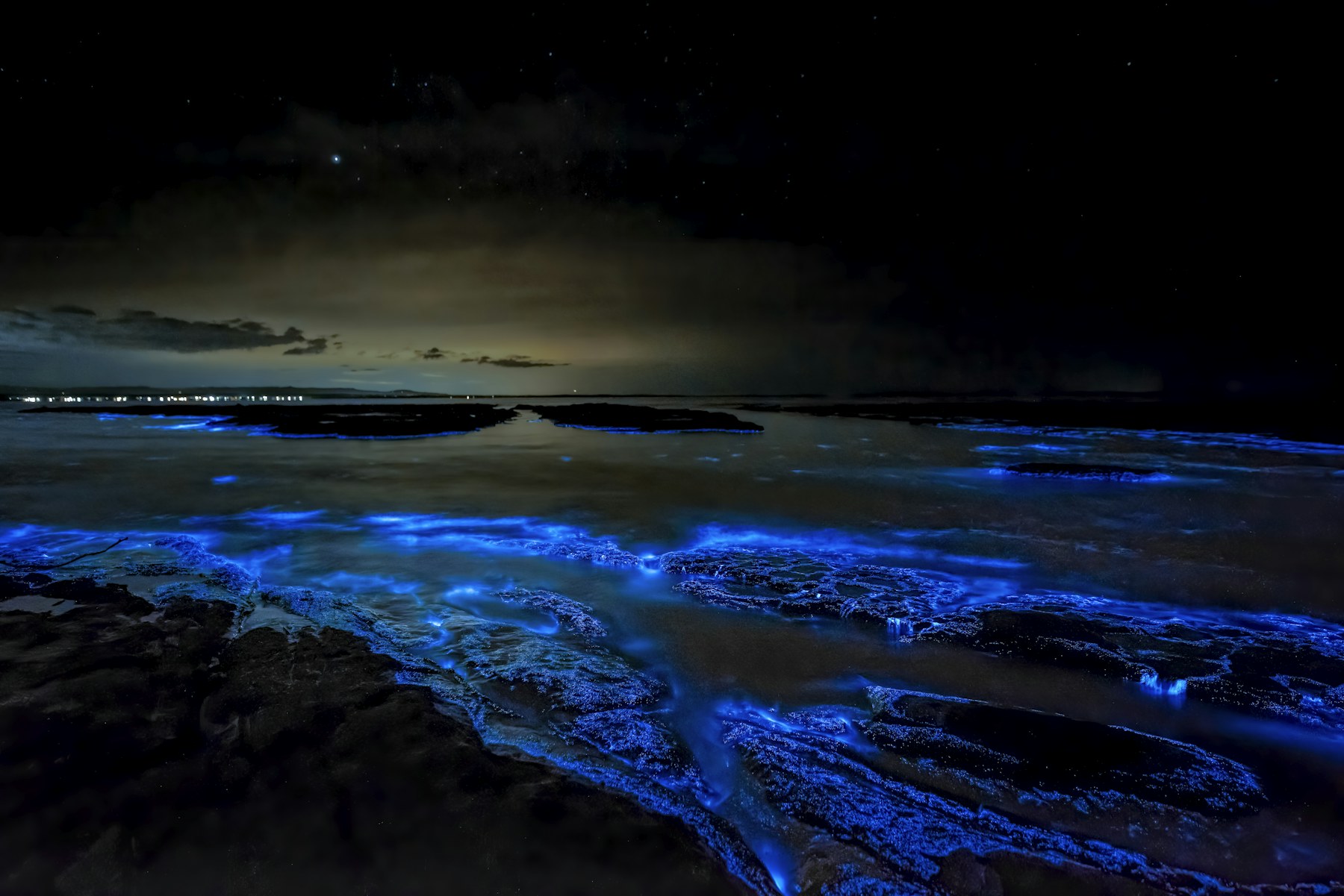 Night dive