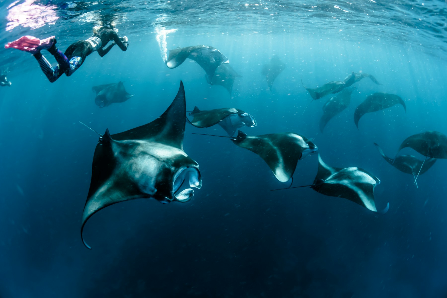 Manta point