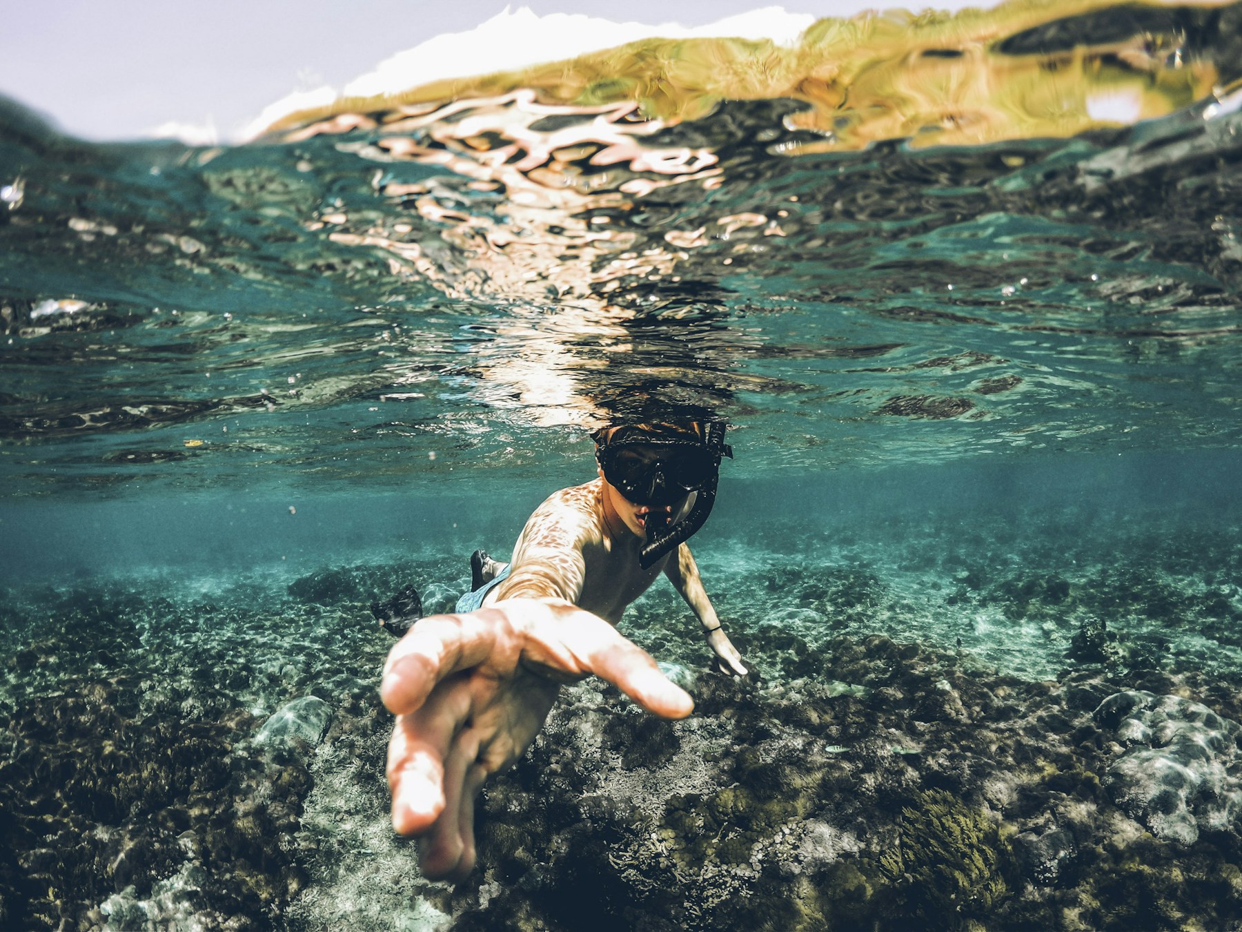 Swimming into the blue