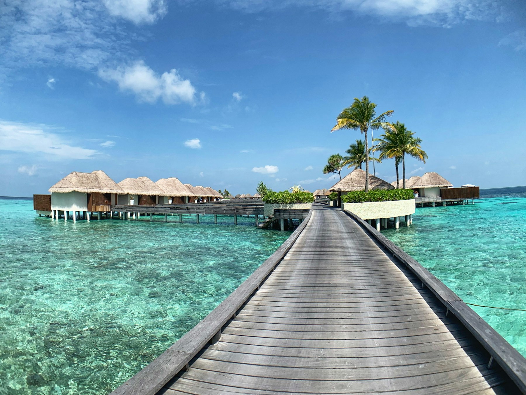 Ocean Residence