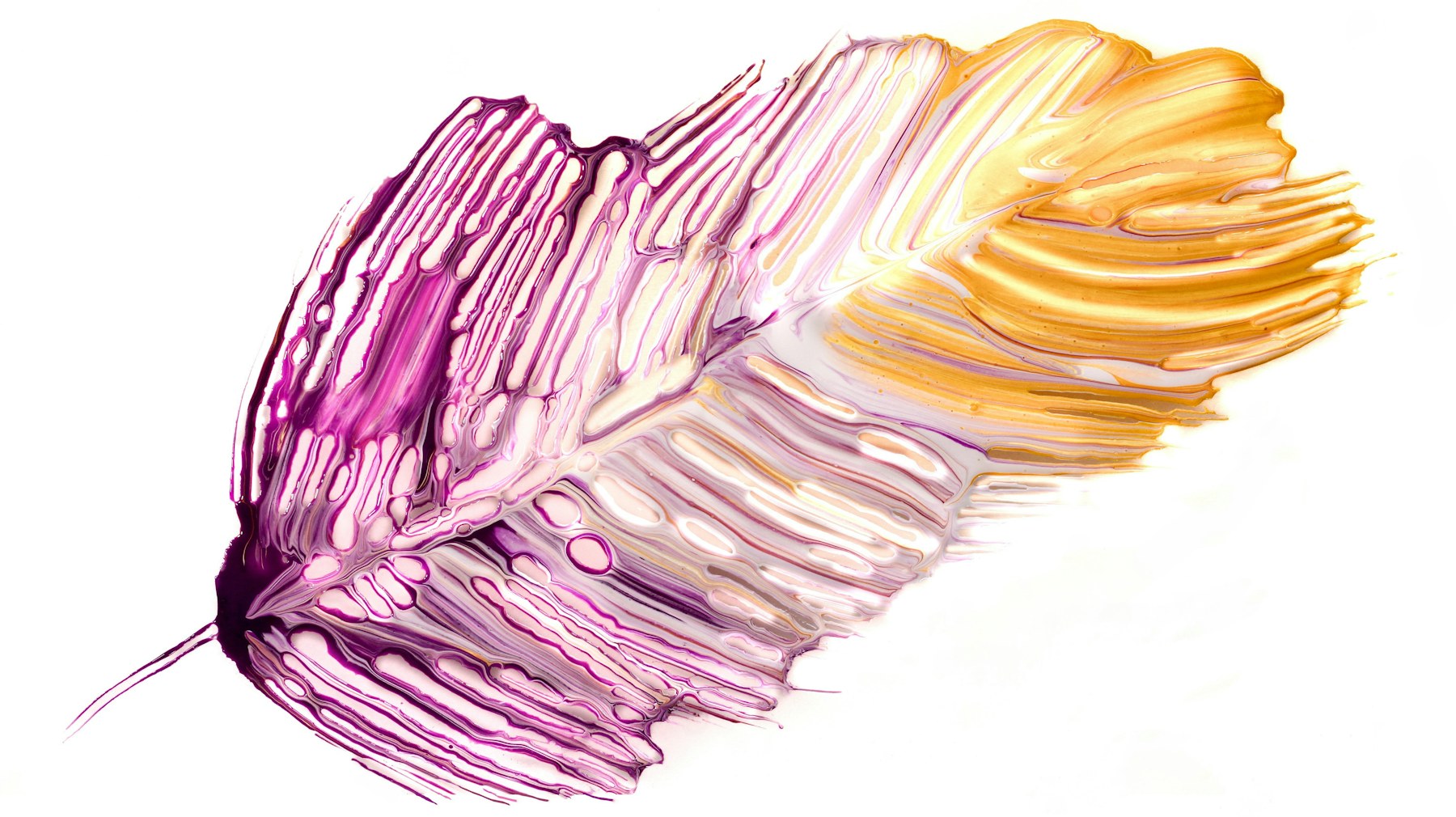 Concentré Violet texture