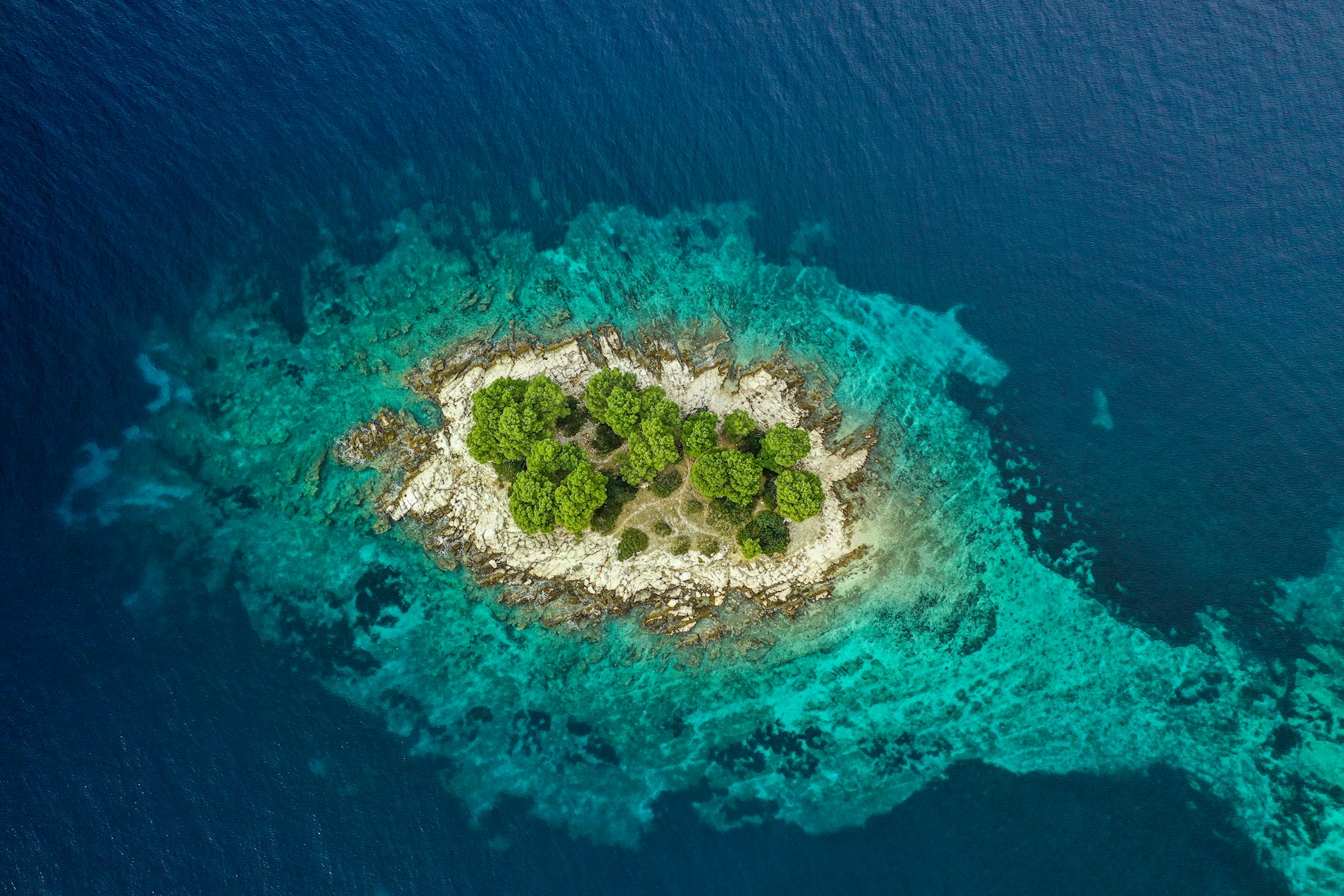 Dalmatia