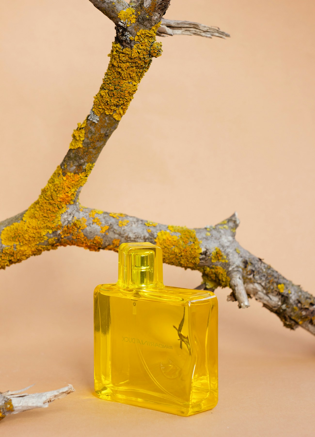 Jasmin de Grasse