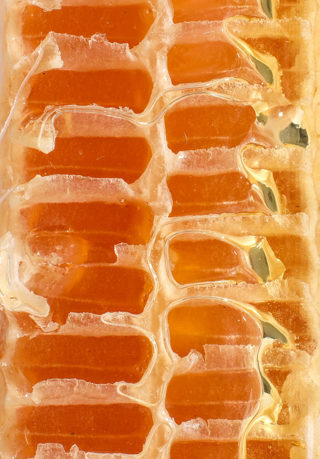 Amber