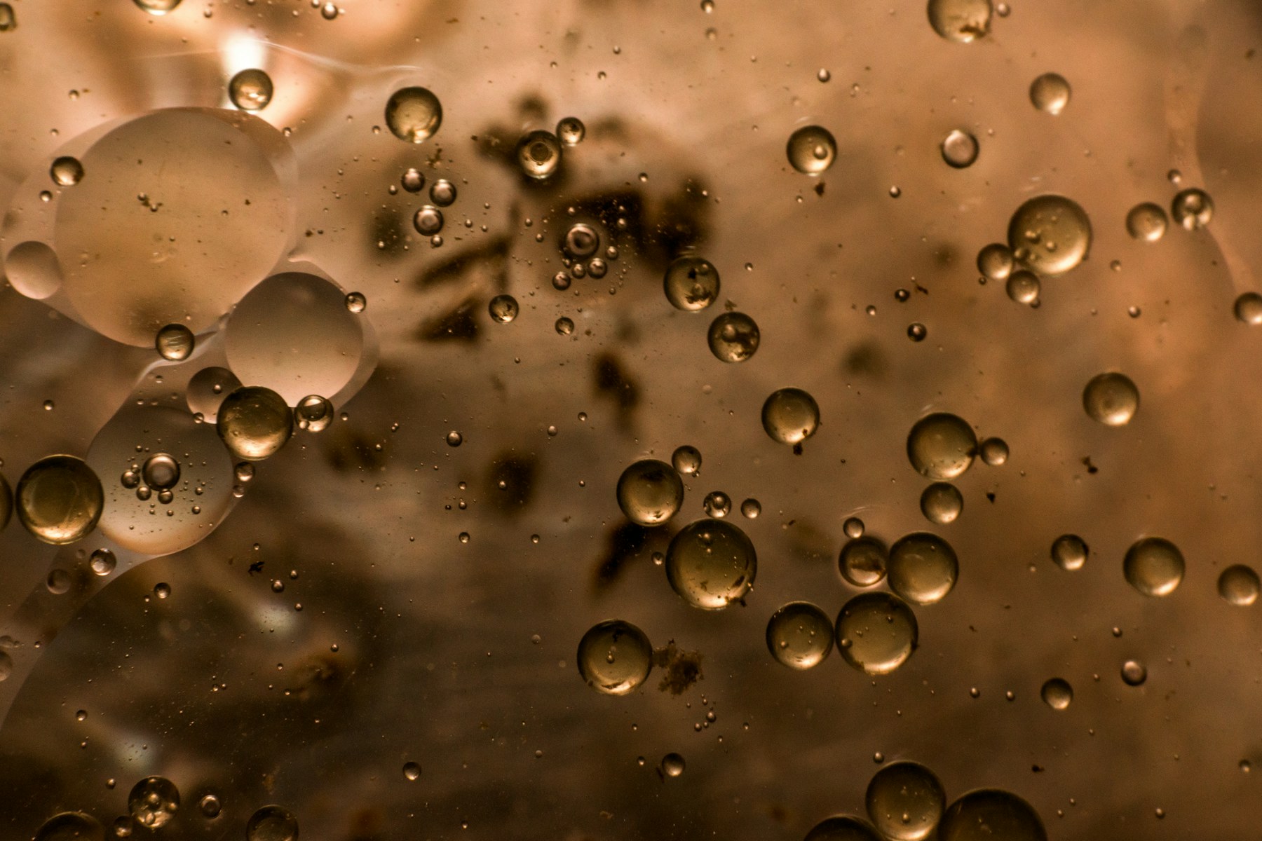 Champagne bubbles, macro