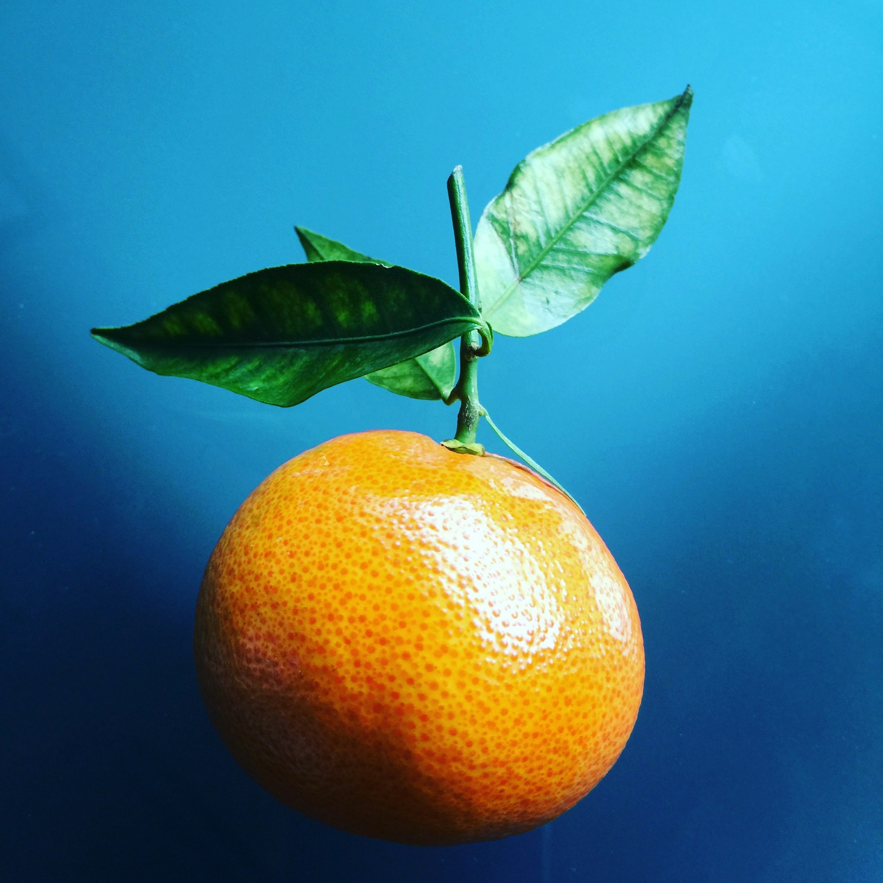 Mandarin
