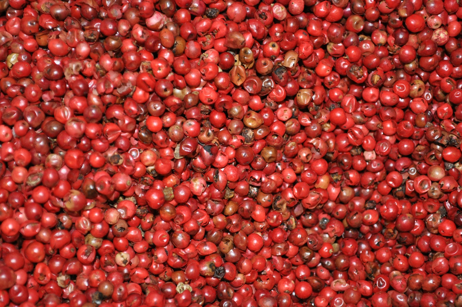 Pink pepper