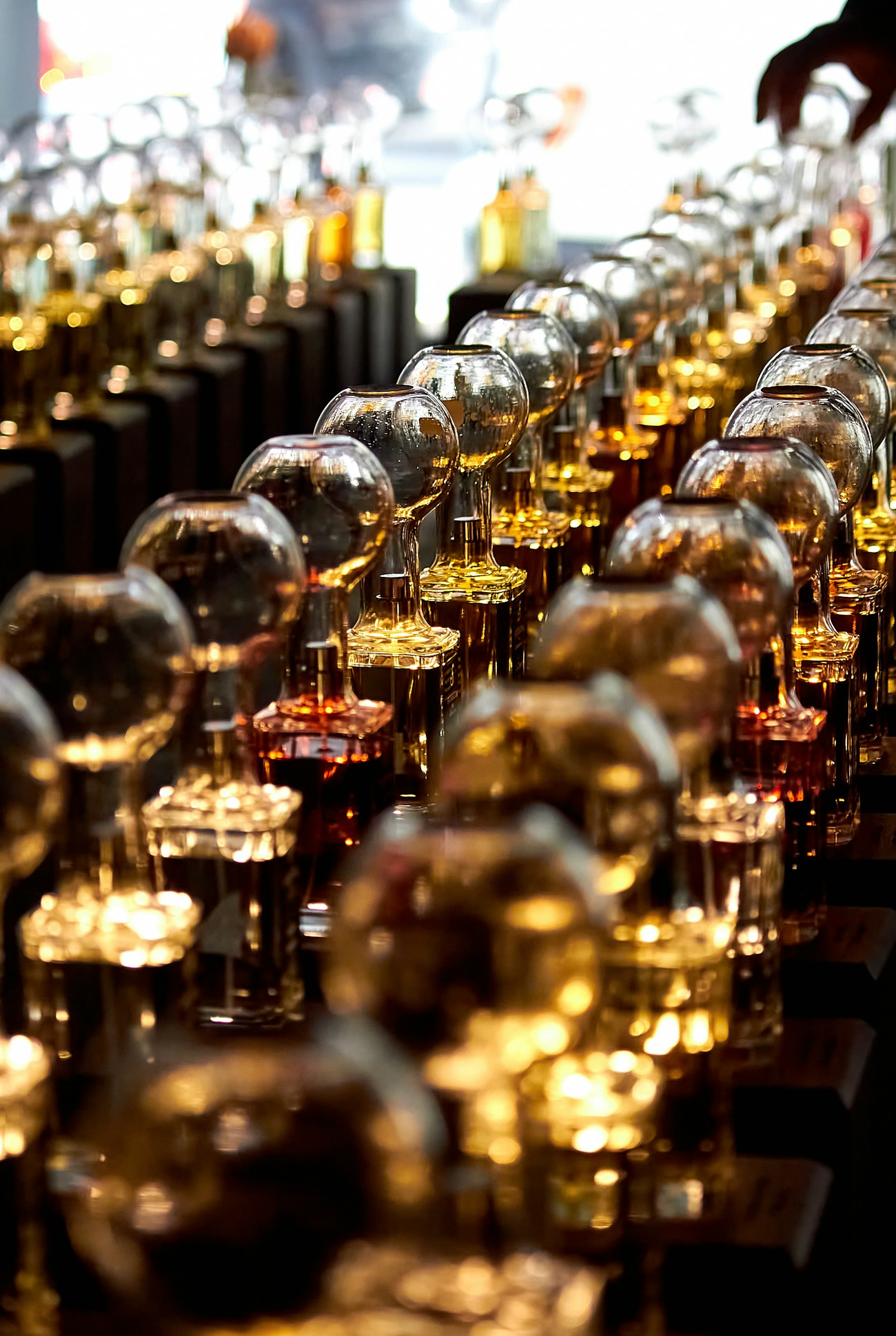 The perfume organ