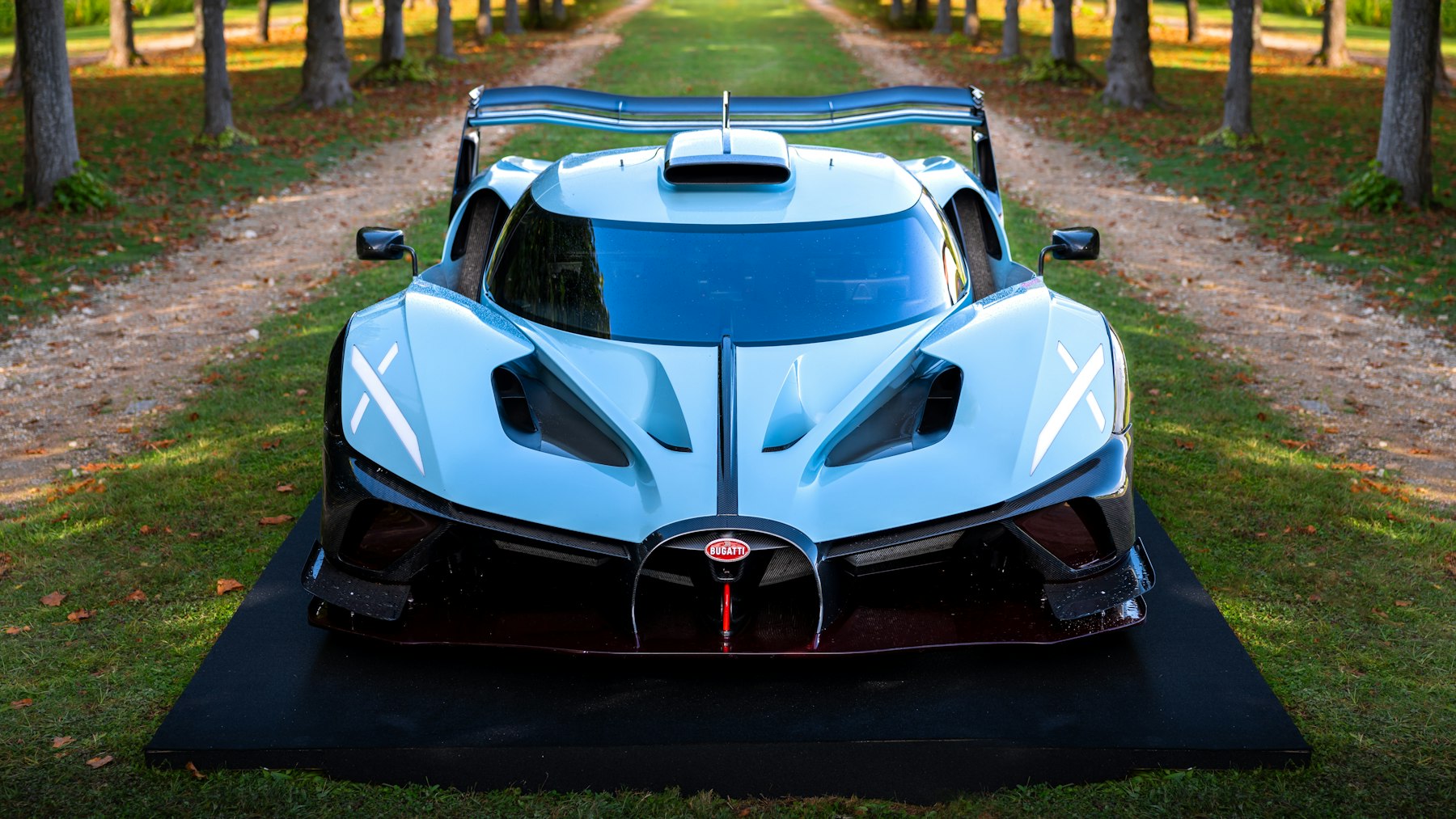 Bugatti on a private lawn