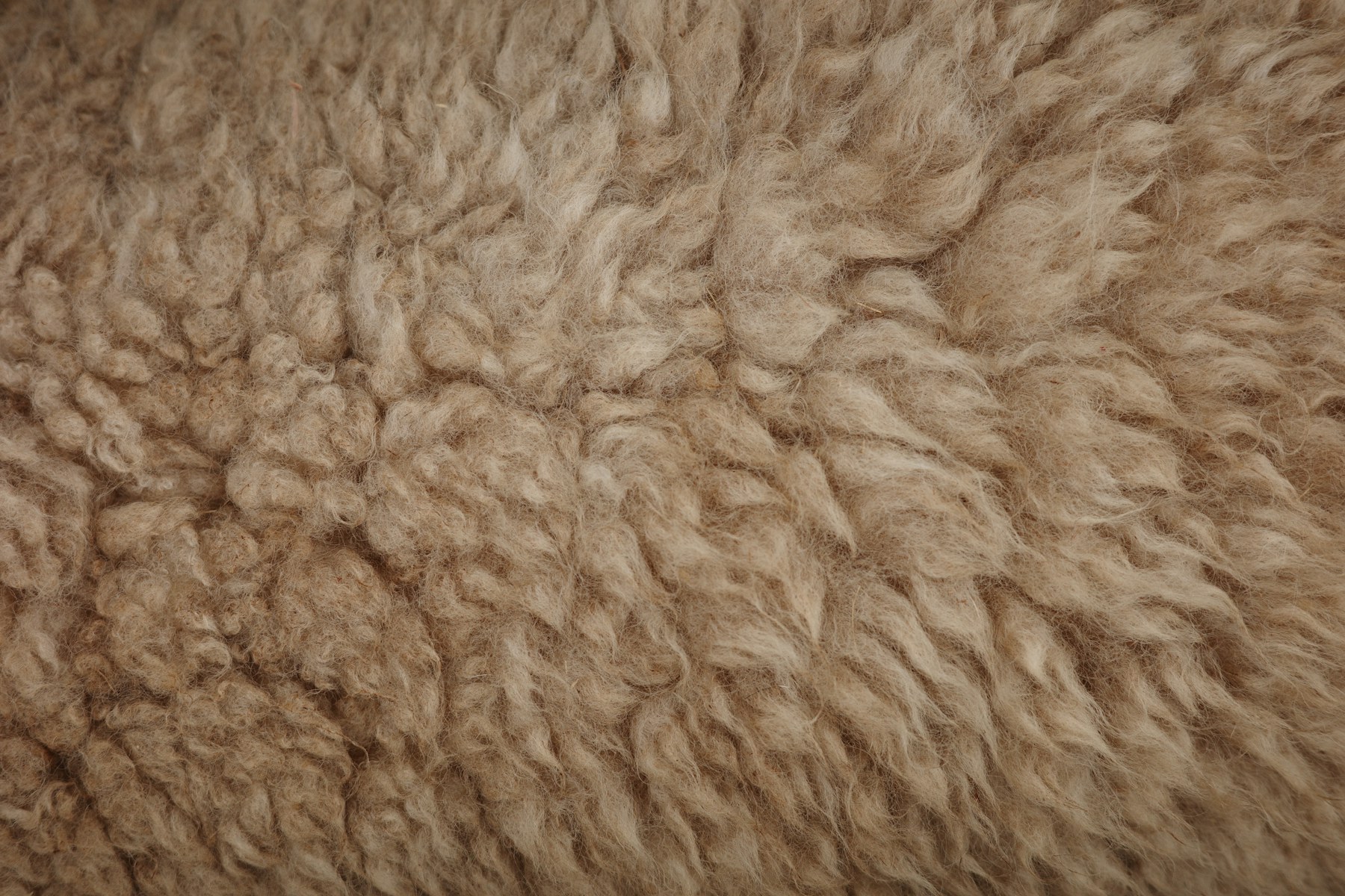 The fibre