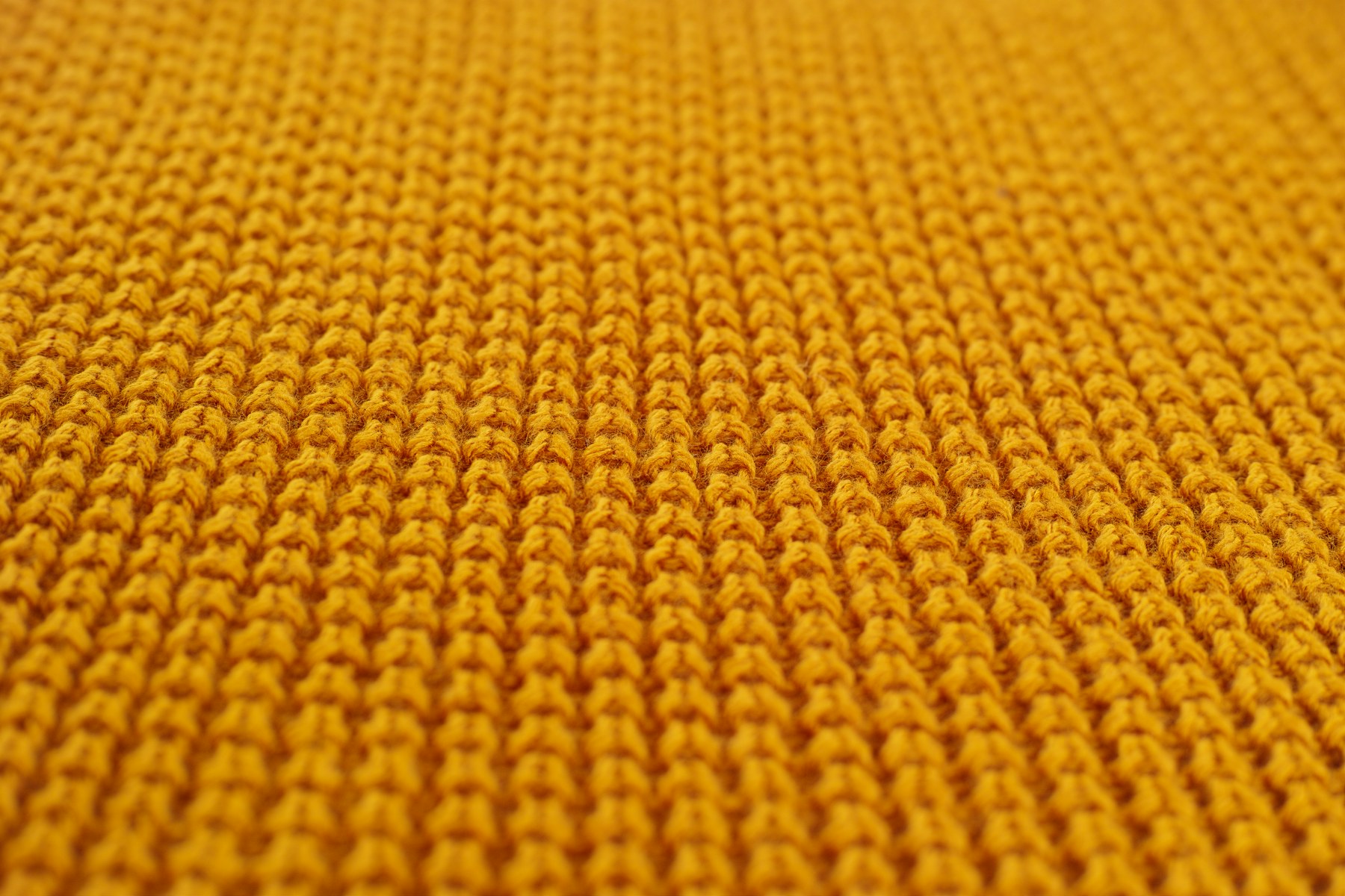 Ochre rib