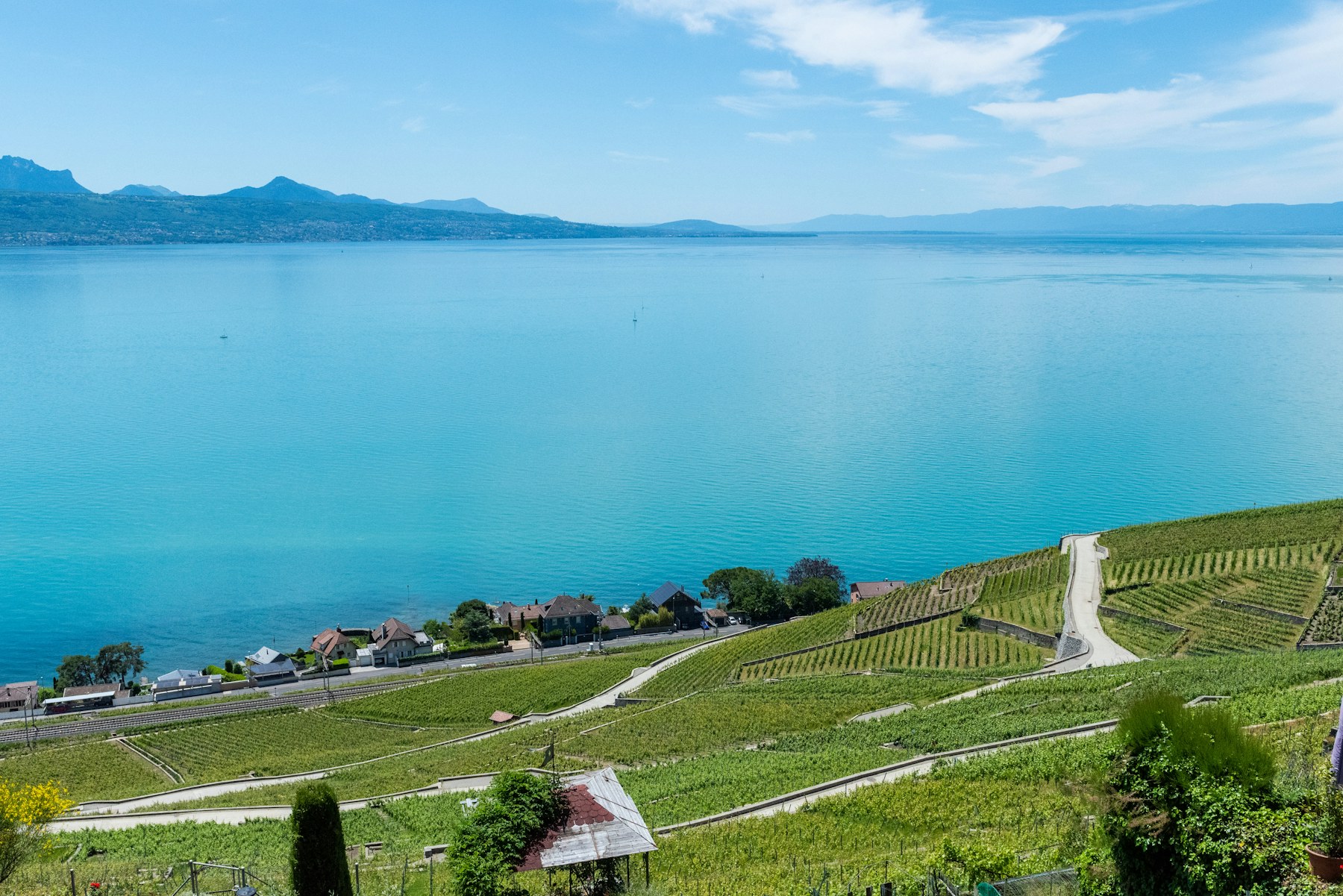Lake Geneva