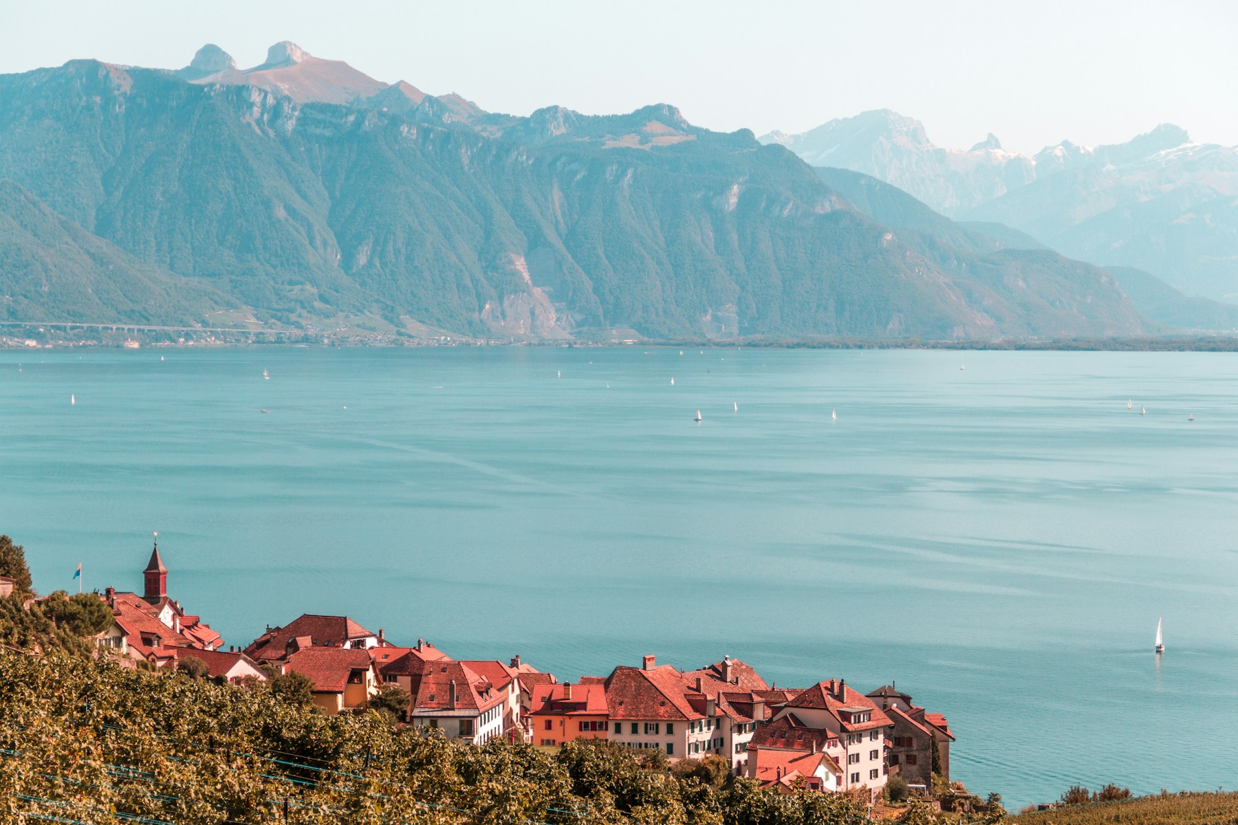 Lavaux vineyards above the lake