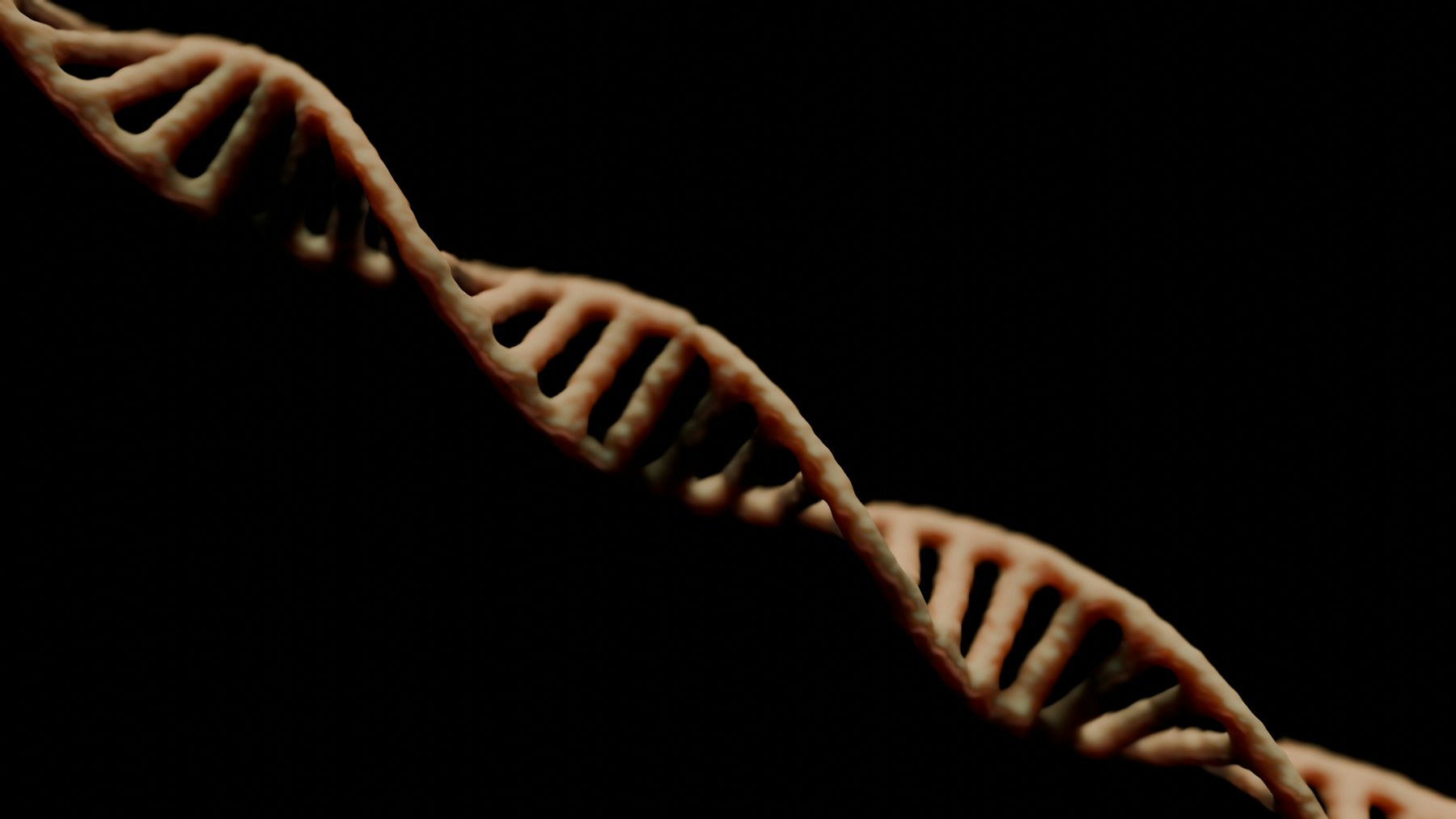 Epigenetic clock
