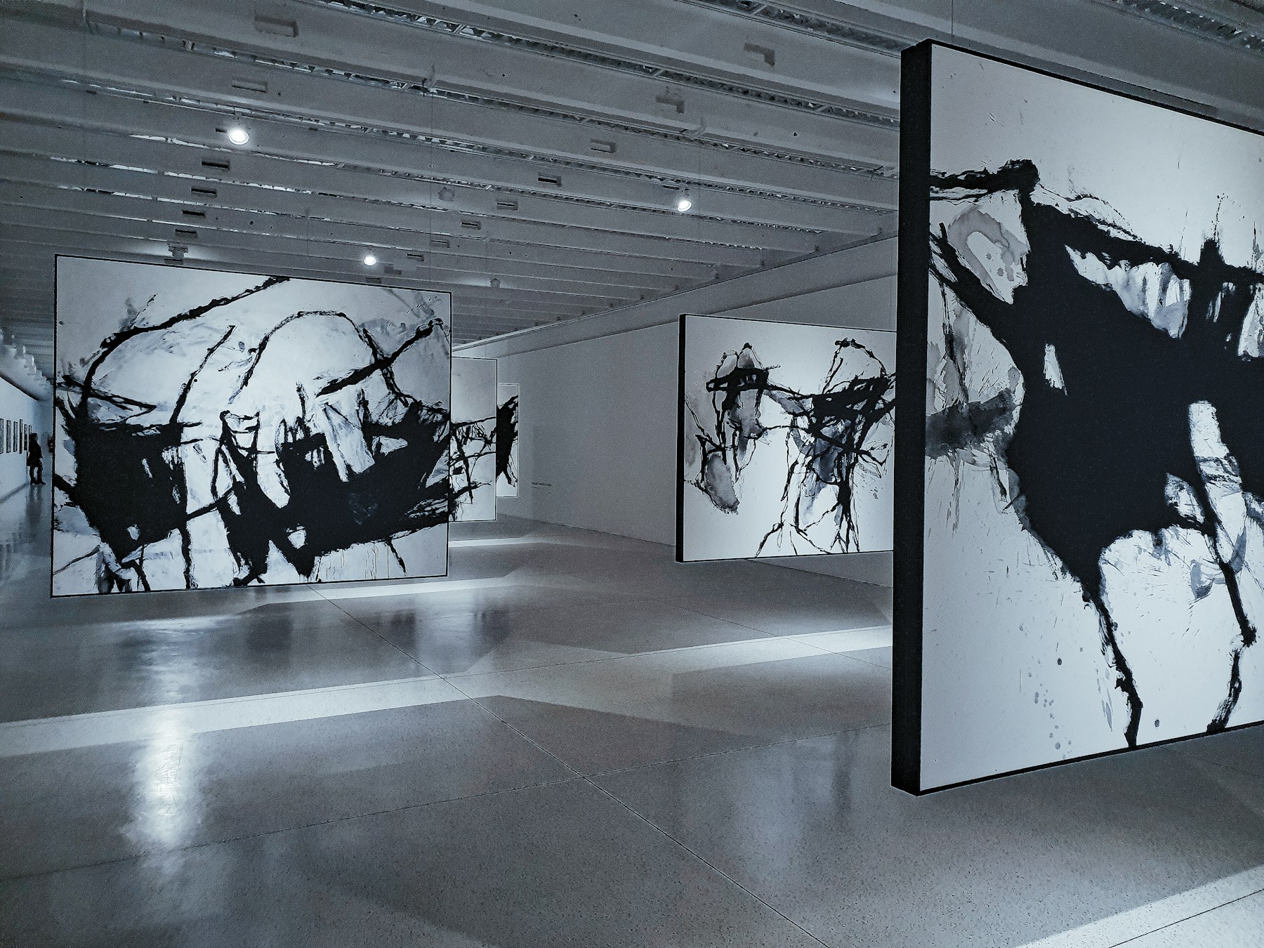 Installation view